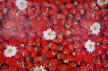 PVC ubrus JAHODA 140x160 cm