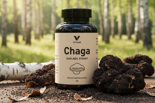 CHAGA